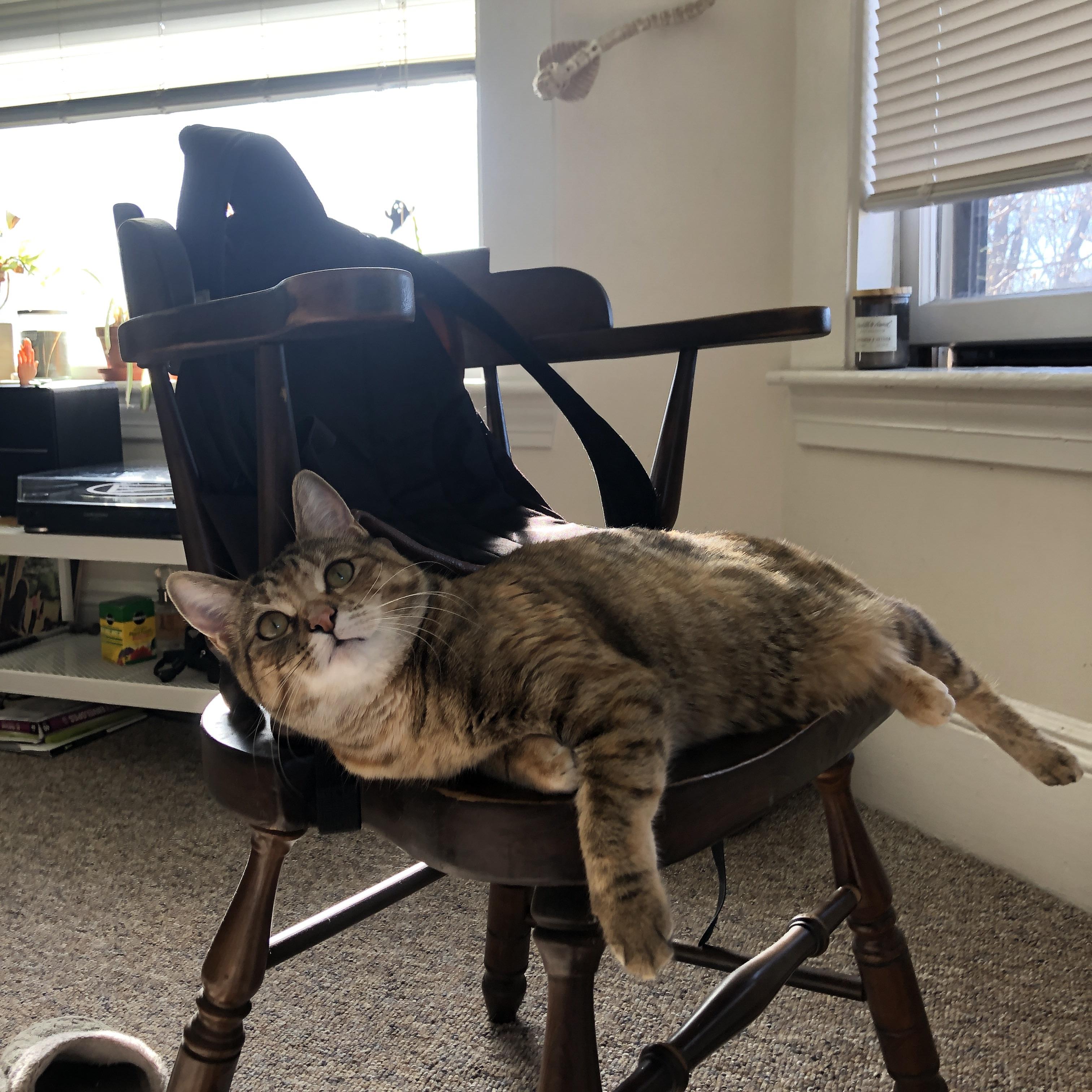 中国青少年篮球发展政策实施及推广策略评估，青少年篮球发展趋势