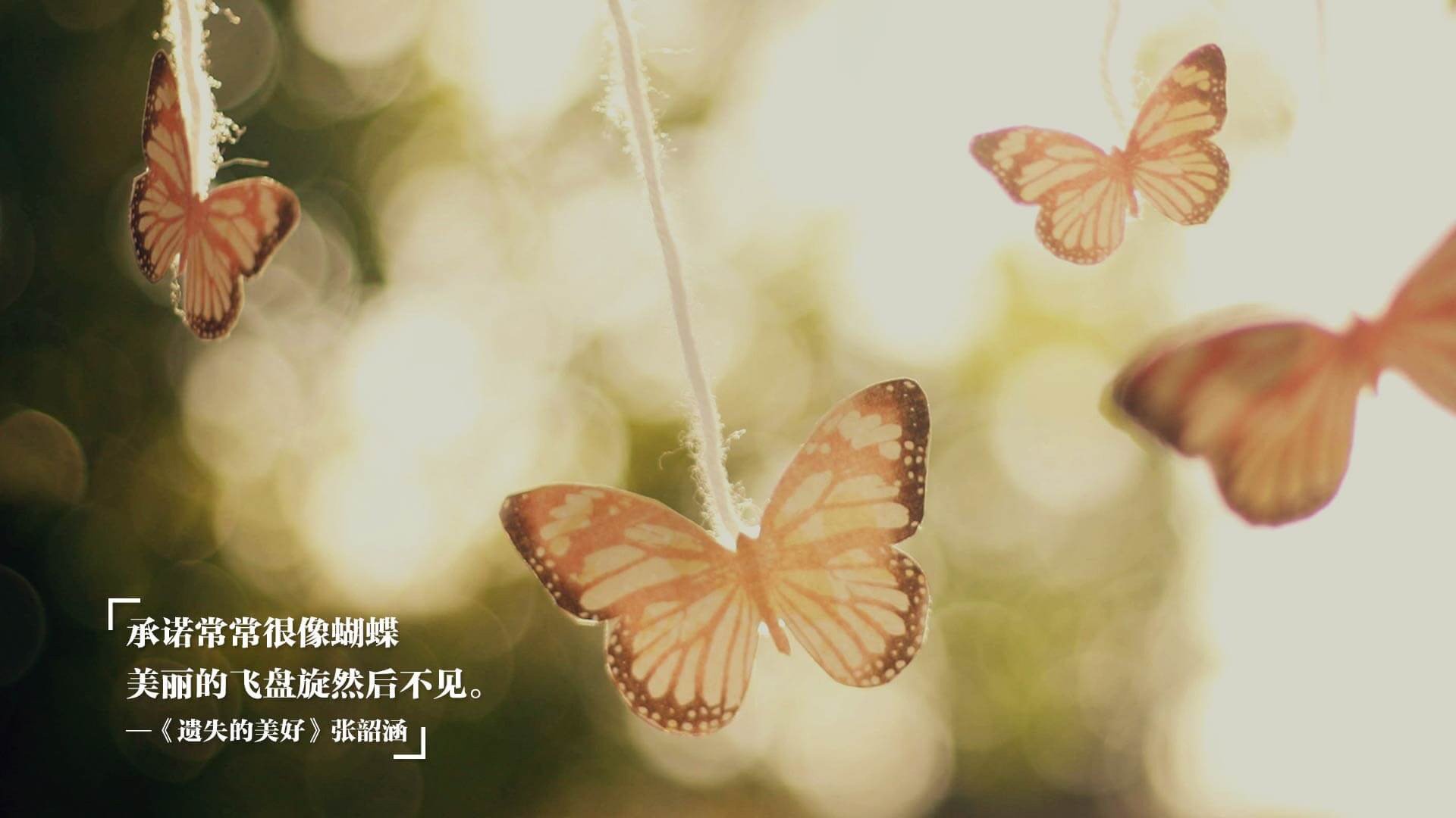 中超中场压迫战术失误率分析，中超防守型中场