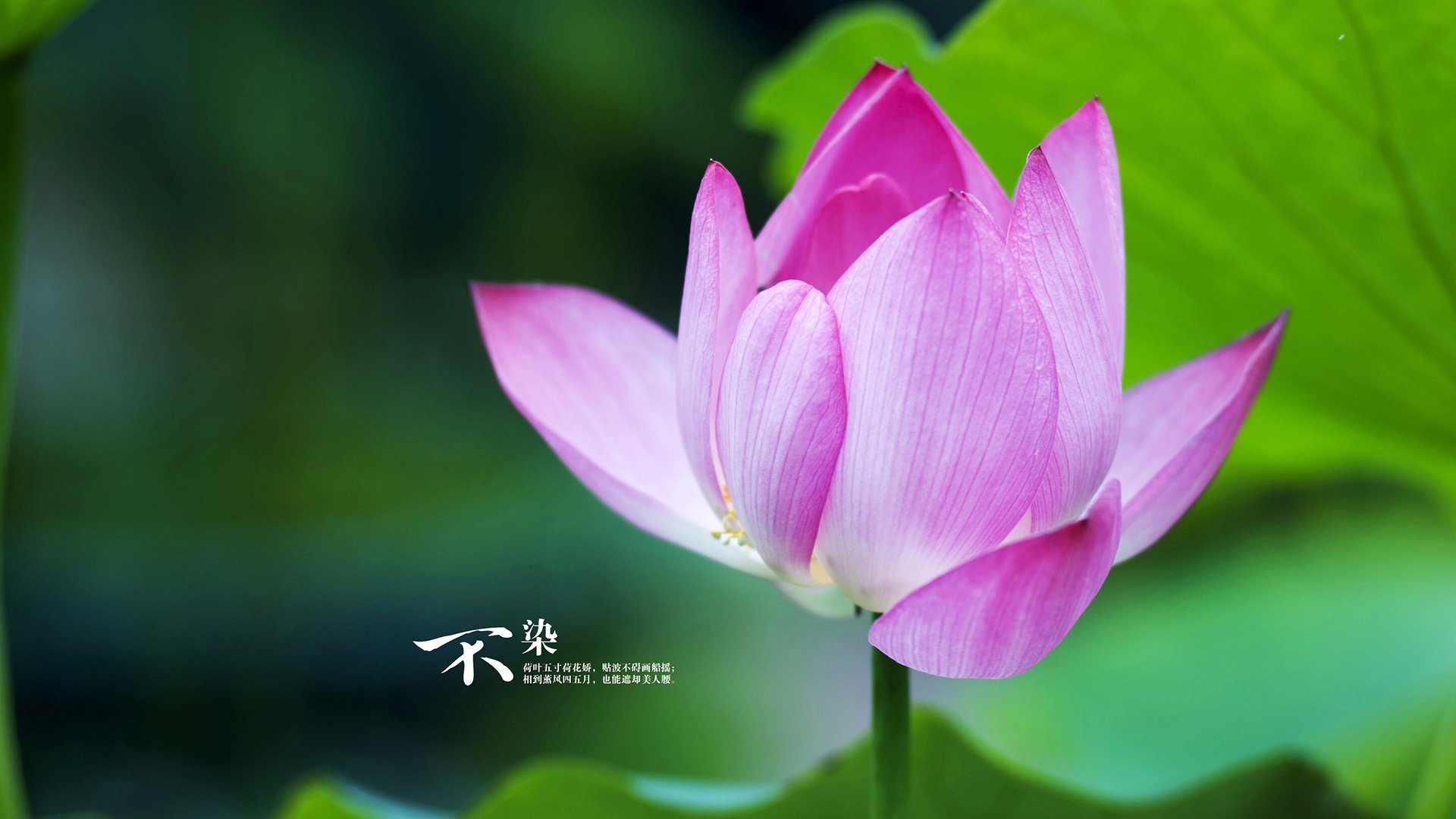 德甲球队引入AI驱动的战术重组系统实现攻守即时切换,德甲重启最新消息