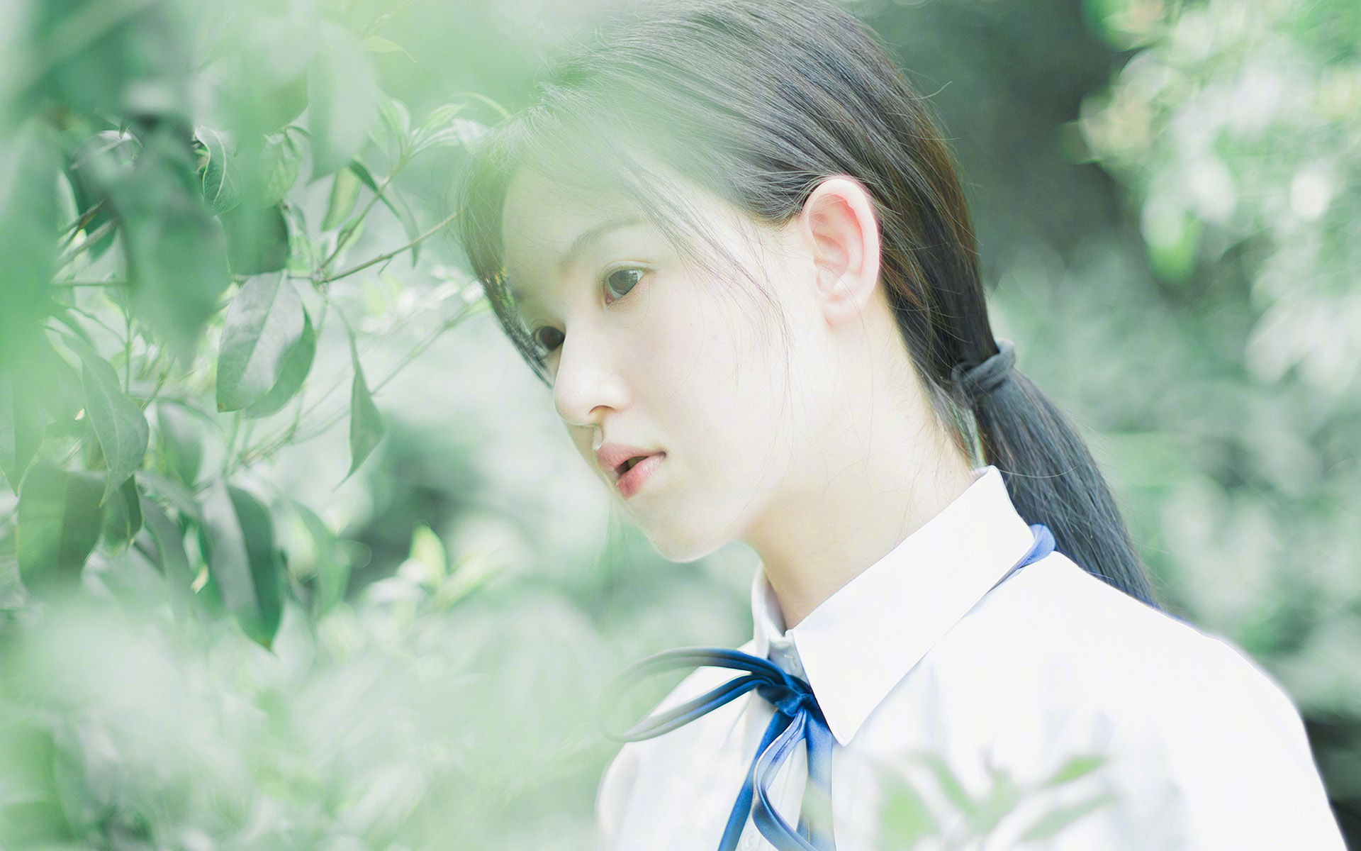 意甲老牌名将带队打造年轻阵容反弹势头,意甲各队主帅简介