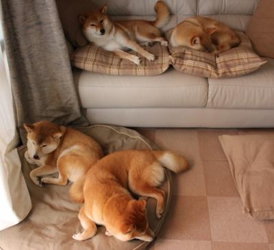 未来足球经济:从门票到数字经济的巨大变革,足球未来可期