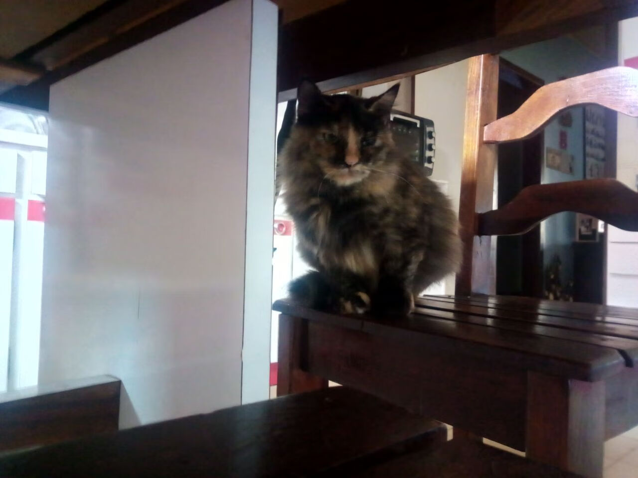 欧国联精彩不断：英格兰屡屡上演逆转，英格兰欧洲队