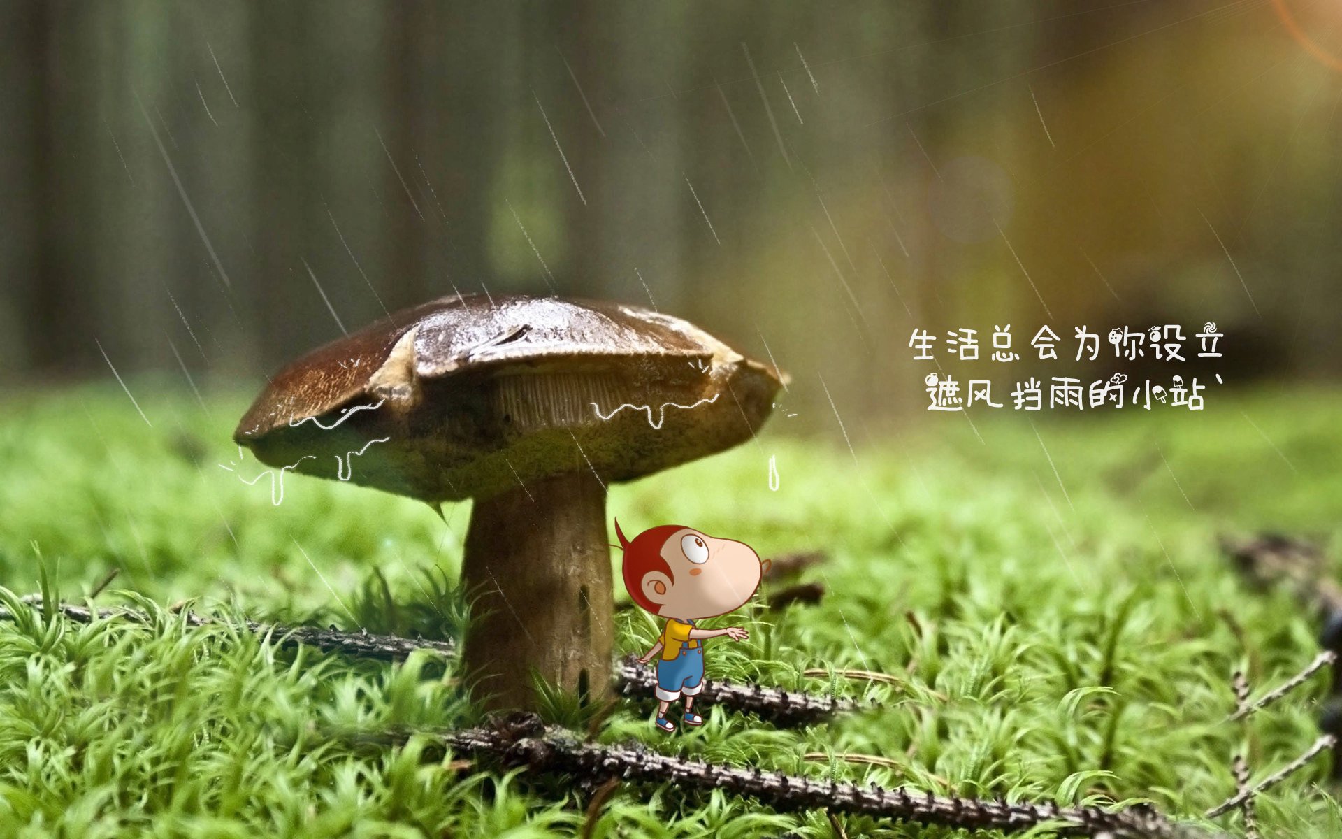 leyu乐鱼在线登录入口-法甲球队通过多模态数据分析优化边路进攻效率