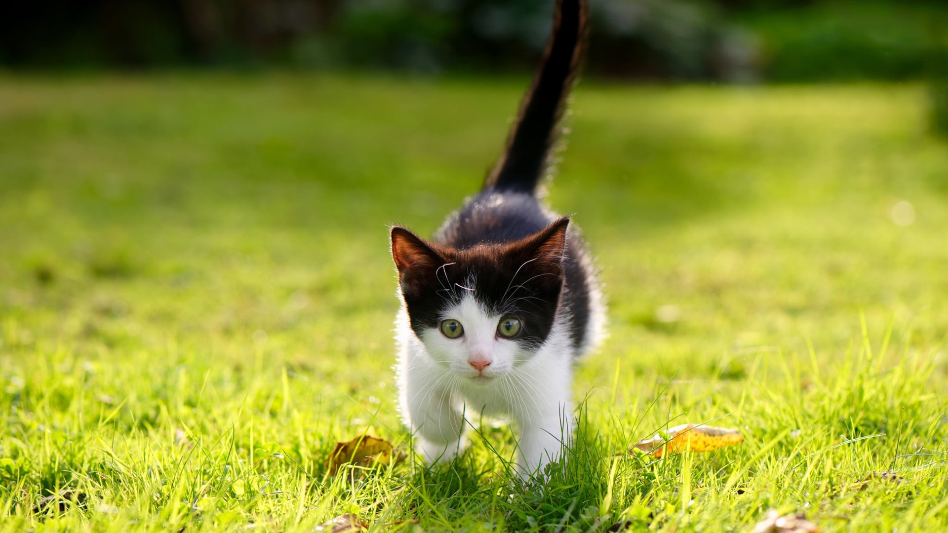 西甲球队热区分析优化防守站位和协防策略，西甲球队对标