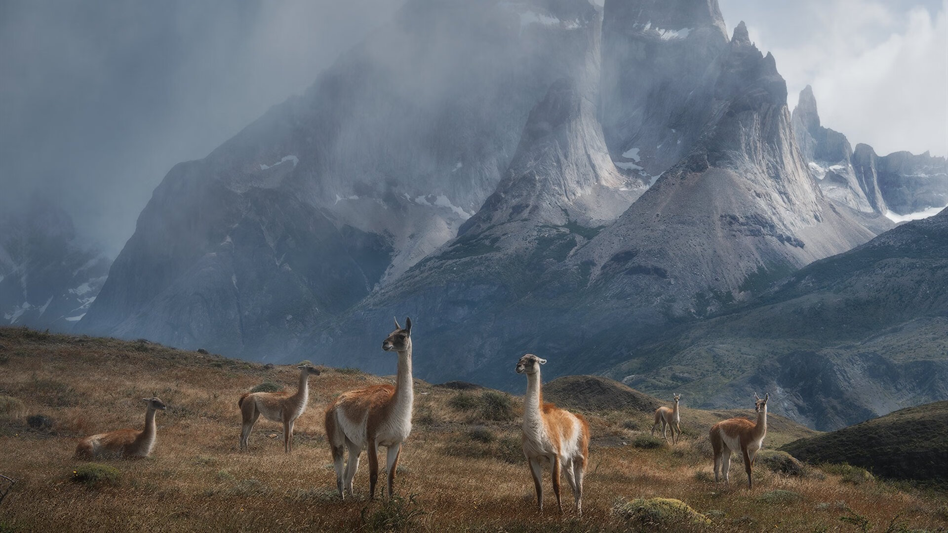 下载乐鱼体育APP-女子100蝶德国首进半决赛，德国女子百米运动员