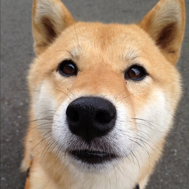 拜仁高位防守成功率领先全场,拜仁防线