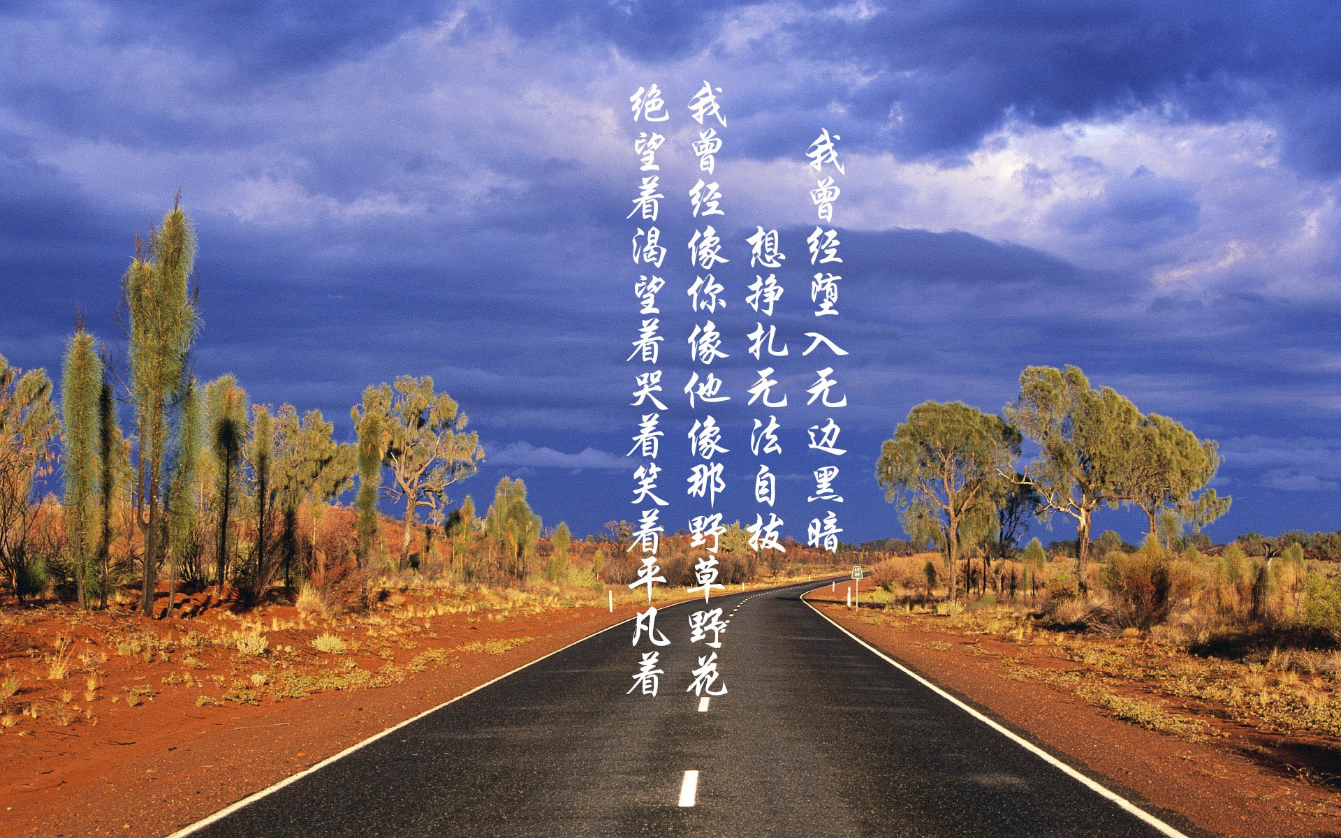 蝶泳冠军划频控制力领先世界,蝶泳划手视频