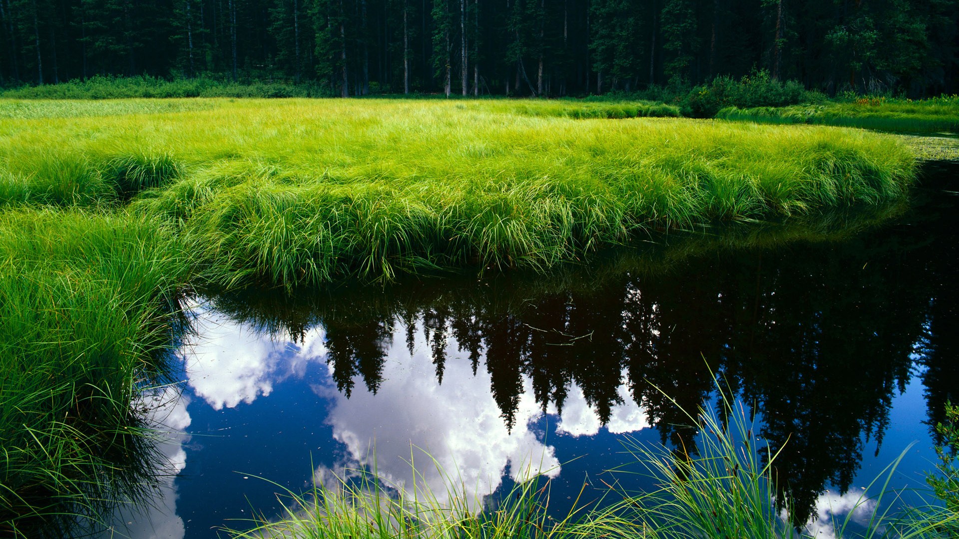 中国足球俱乐部加强青训梯队建设，中国足球青训体系是什么