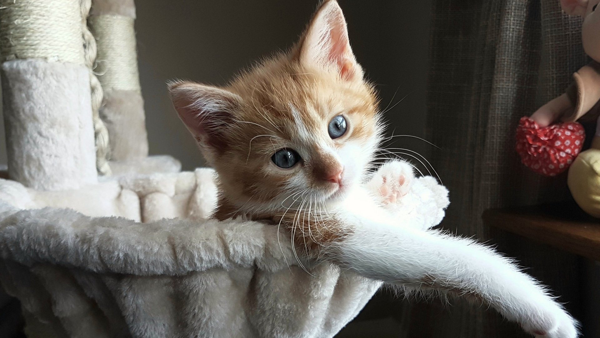 中国足球女足高水平比赛体验与心理承受力，中国女足的水平