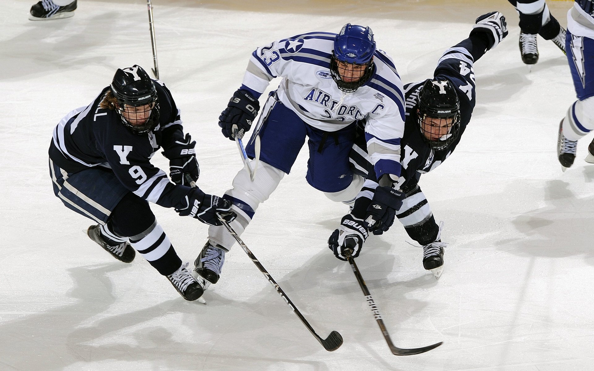 中国高校飞盘联赛总决赛 清华北大会师决战引爆社交媒体